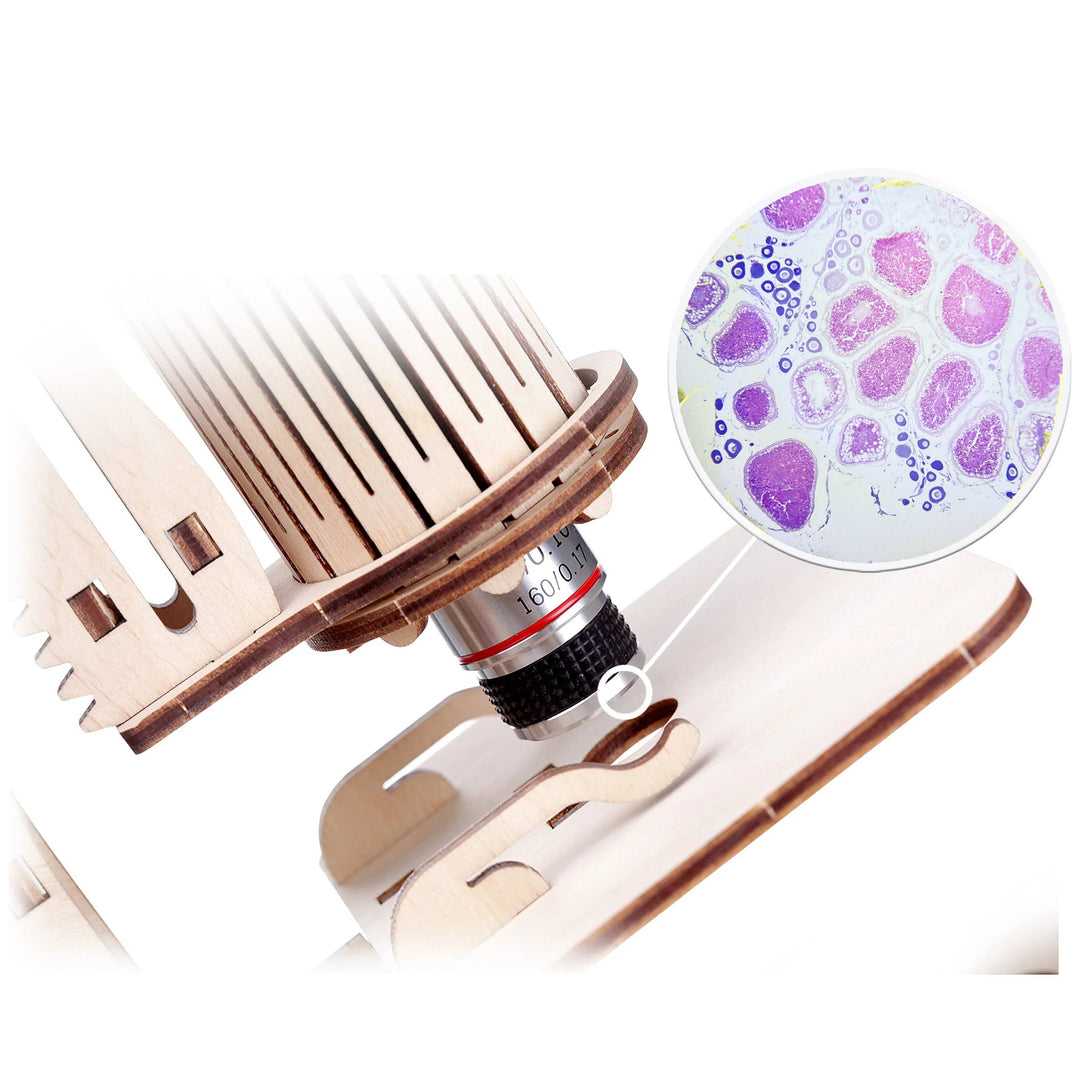 Puzzle en bois 3D Rokrgeek Microscope